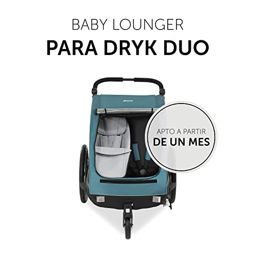 Hauck DRYK DUO Tumbona para bebé de 1 a 10 meses, accesorio para remolque de bicicleta, con cubrepies, almohadilla para la cabeza, cinturón de 5 puntos, enganche fácil, gris